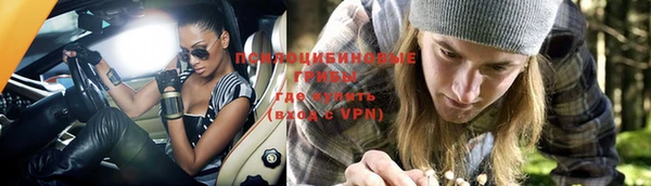 дурь Белокуриха