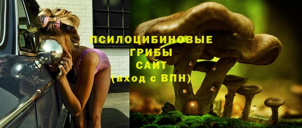 Альфа ПВП Беломорск